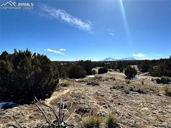 Walsenburg, CO 81089,Lot 606 Pico Del Questa