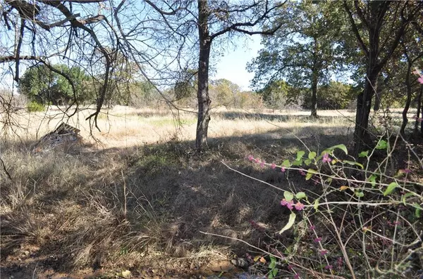 Glen Rose, TX 76043,lot 19 TBD CR2027