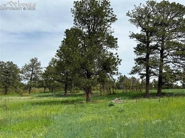 Larkspur, CO 80118,Lorraine RD