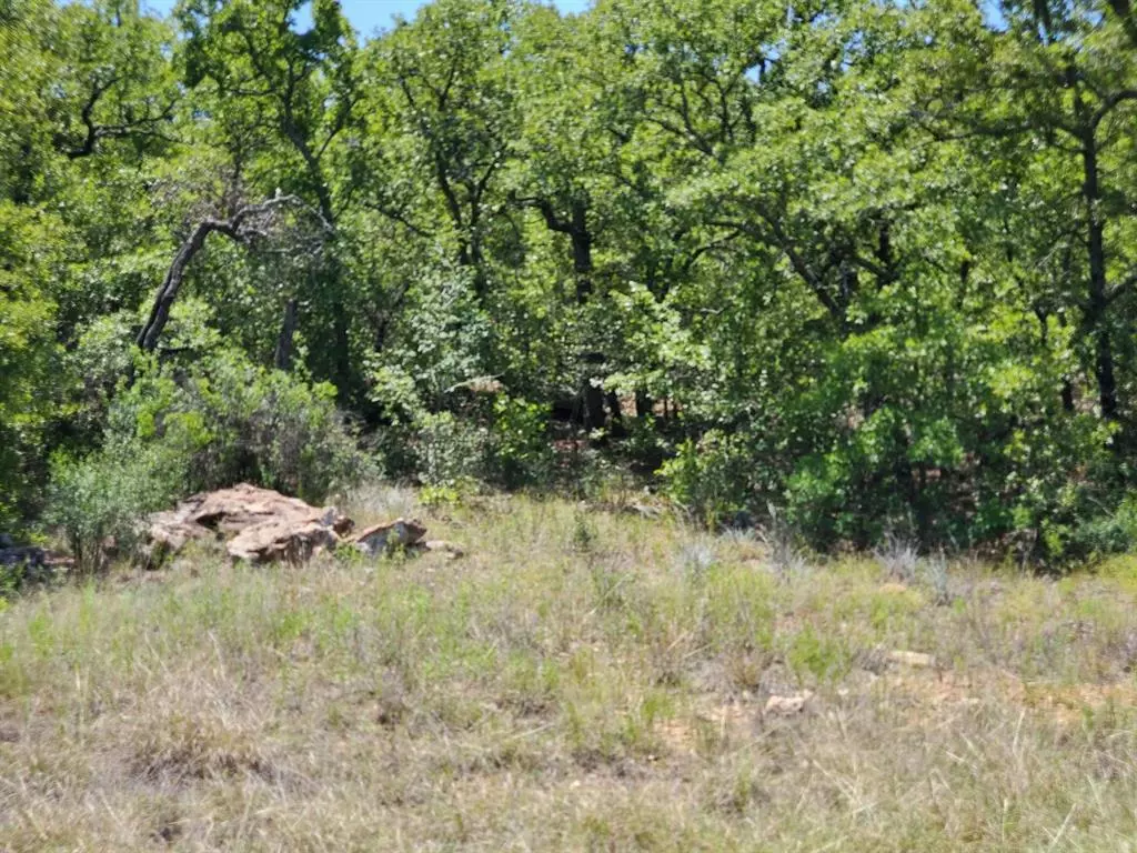 Bowie, TX 76230,Lot 520 Twin Lakes Court