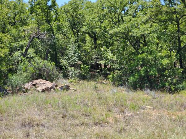 Lot 520 Twin Lakes Court, Bowie, TX 76230