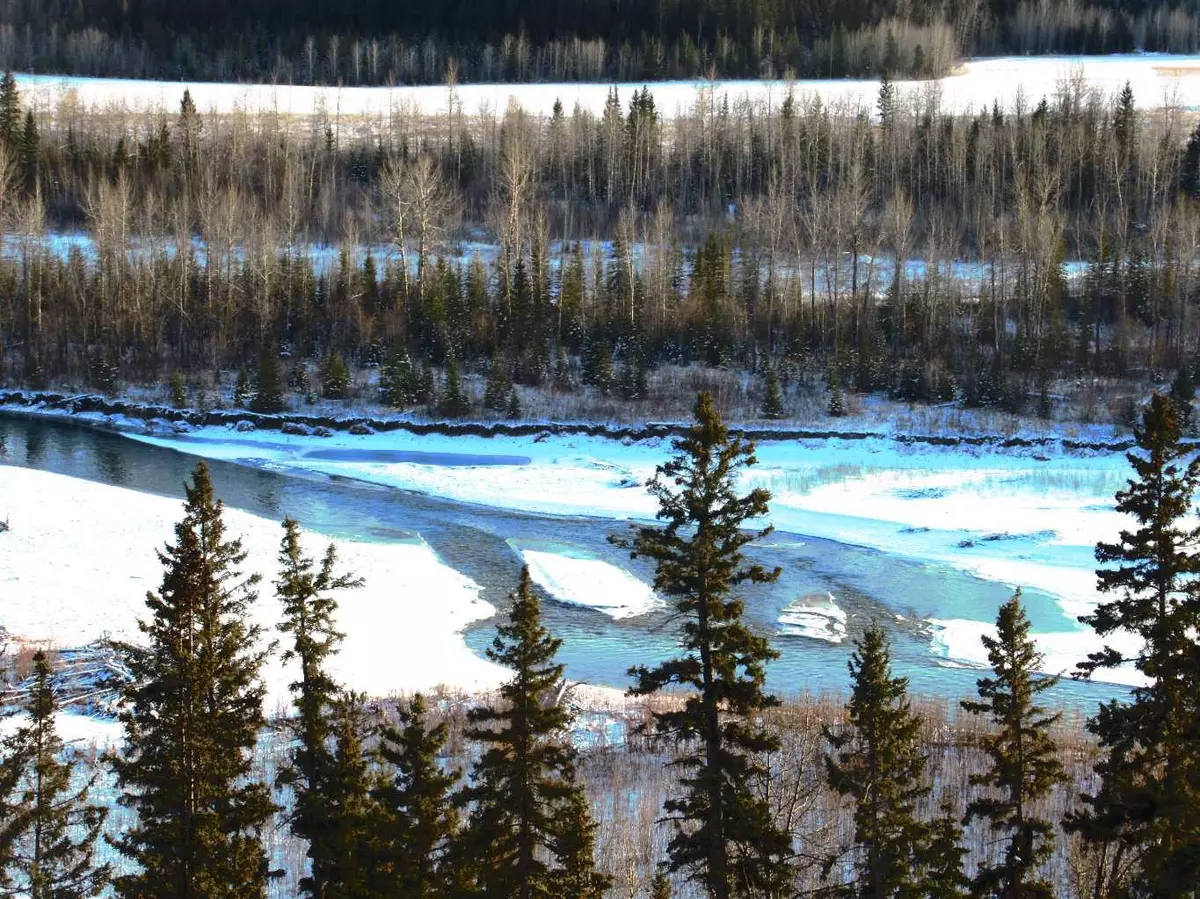 Rural Clearwater County, AB T0M 1X0,342042 Range Road 44