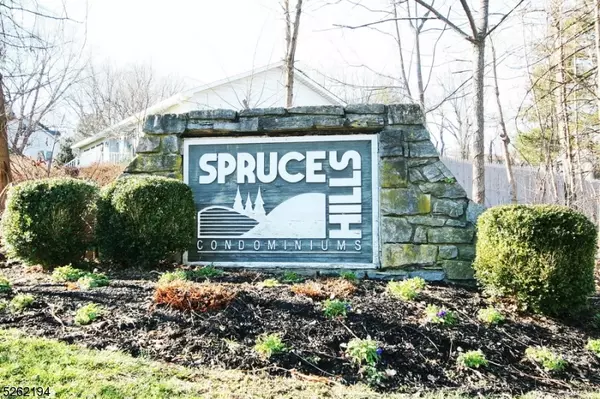 1803 Spruce Hills Dr #1803, Glen Gardner Boro, NJ 08826