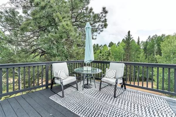 Florissant, CO 80816,403 Pioneer Creek DR