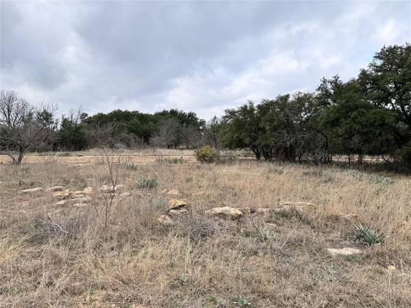 Brownwood, TX 76801,TBD Lot 643, 644 Feather Bay Drive