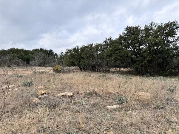 Brownwood, TX 76801,TBD Lot 643, 644 Feather Bay Drive