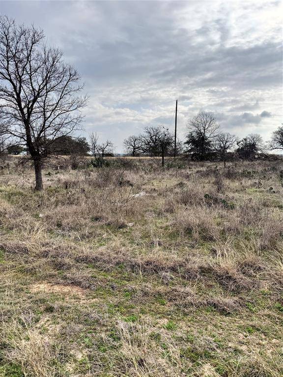 Brownwood, TX 76801,TBD Lot 355 Feather Bay Drive