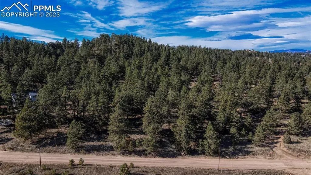 185 Stonehenge DR, Florissant, CO 80816