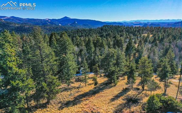 56 E Nevada CIR, Florissant, CO 80816