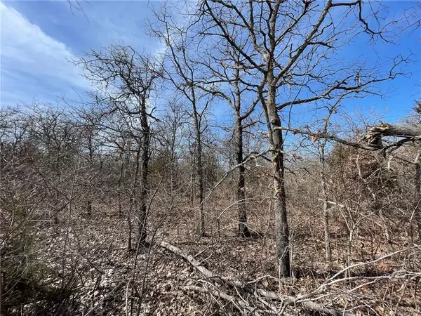 Harrah, OK 73045,0 Lot 15 Oak Springs Road