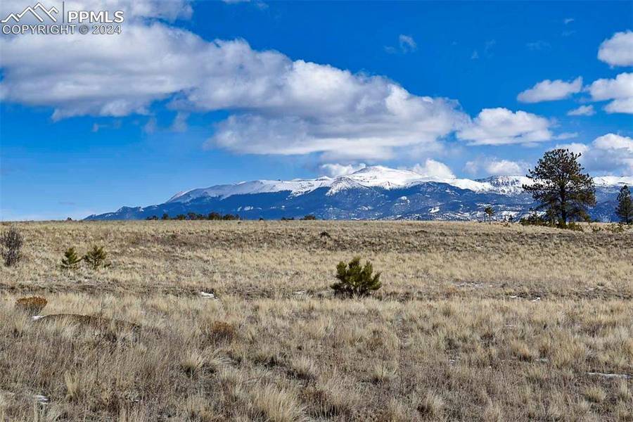 199 Meadow LN, Guffey, CO 80820