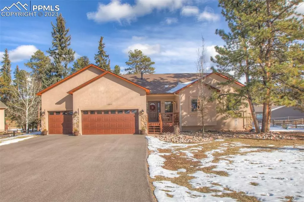 Woodland Park, CO 80863,1383 Masters DR