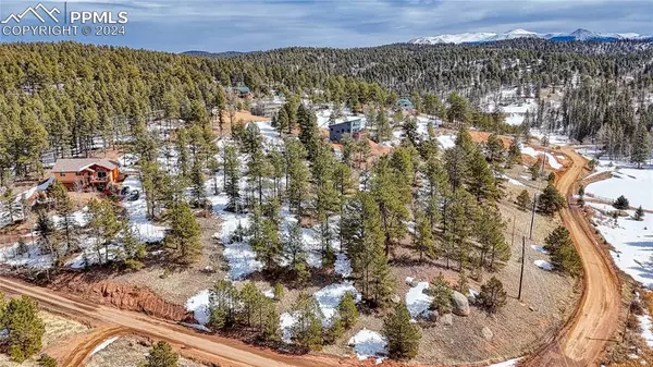 324 Pinewood RD, Florissant, CO 80816