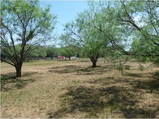 Early, TX 76802,TBD Old Comanche Road