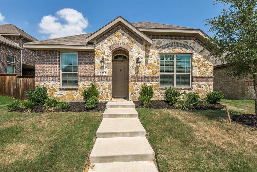 4504 Ashmark Road, Little Elm, TX 76227