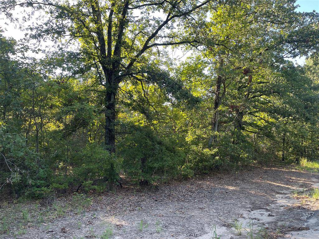 Lot 47 CR SE 4298,  Scroggins,  TX 75480