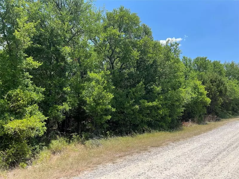 4209 W Virginia Drive, Granbury, TX 76048