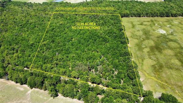 TRACT 5 CR 4315, Avery, TX 75554