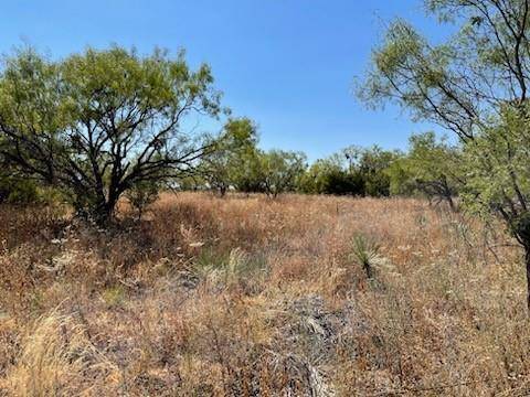 TBD County Road 347, Hawley, TX 79525