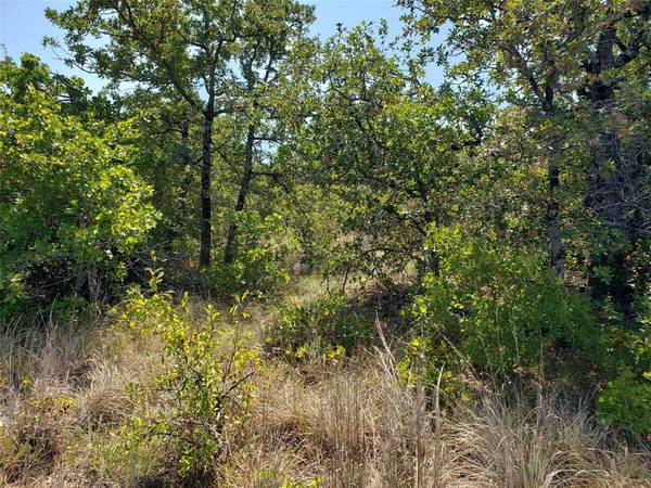 Lot 462 Mountain Pass Drive, Bowie, TX 76230