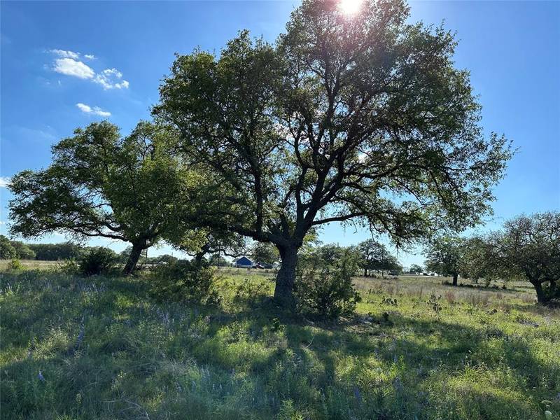 Lot 122 Blackbuck Ridge Drive, Lampasas, TX 76550