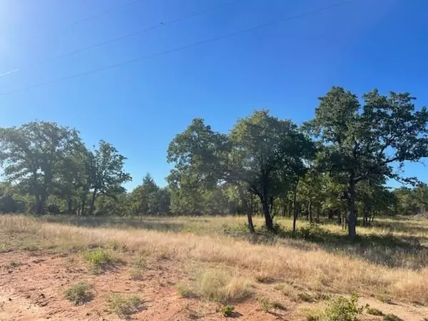 Alvord, TX 76225,205 Creek Crossing