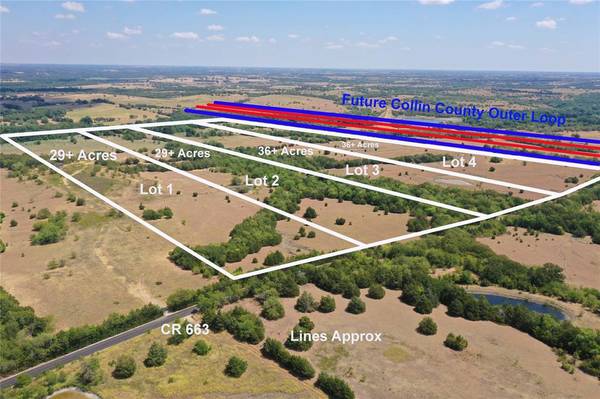 Farmersville, TX 75442,29 AC CR 663 #1