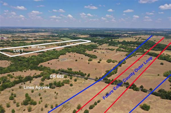 Farmersville, TX 75442,29 AC CR 663 #1