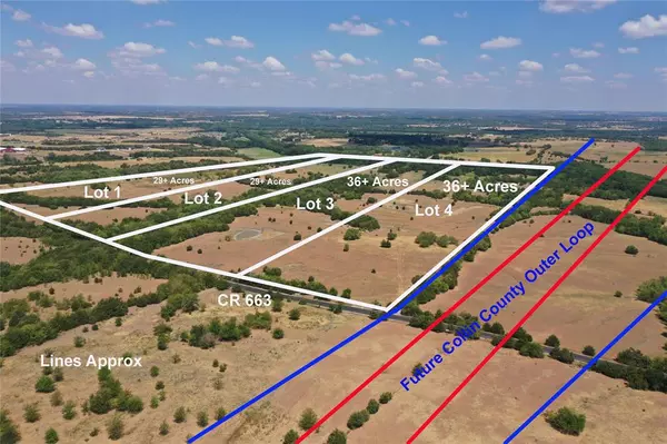 Farmersville, TX 75442,29 AC CR 663 #1