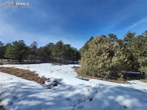 Texas Creek, CO 81223,1549 Owens LN