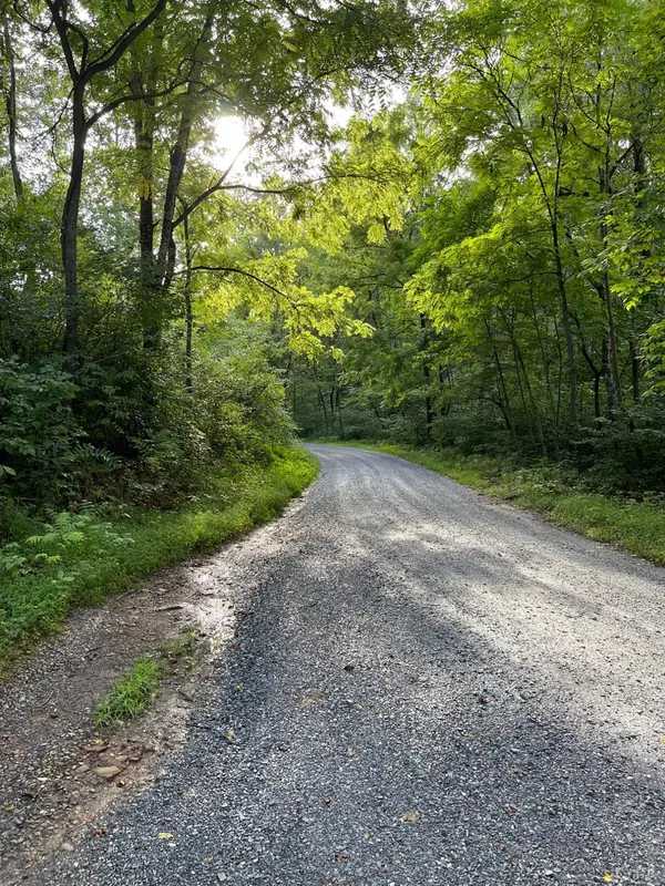 Big Island, VA 24526,1266 Bobcat LN