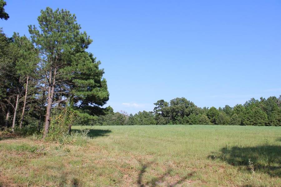 TBD E FM 852, Winnsboro, TX 75494