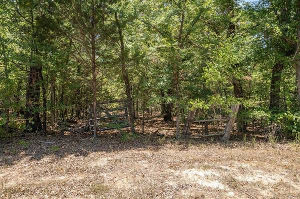 TBD VZCR 1517 Tract 3,  Grand Saline,  TX 75140