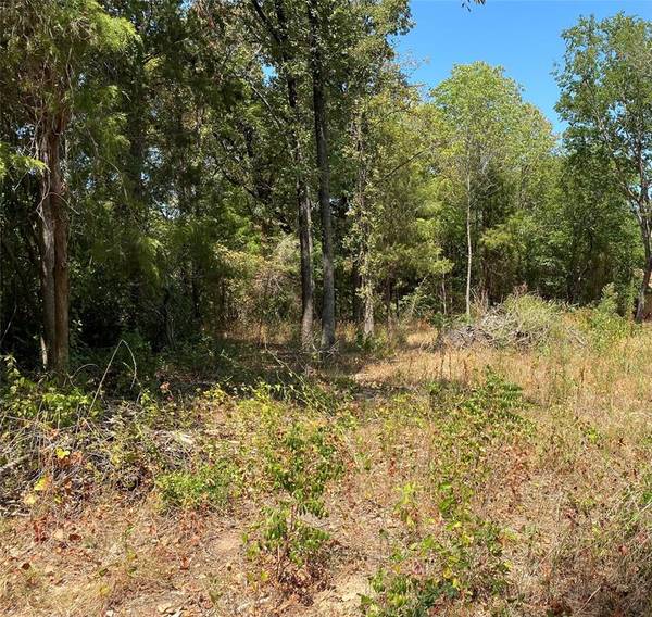 Lot 683 Granada Street, Payne Springs, TX 75156