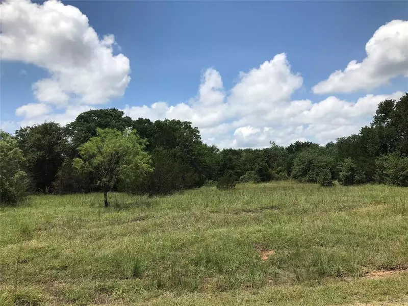 Lot 28 N Lakeview Drive, Palo Pinto, TX 76484