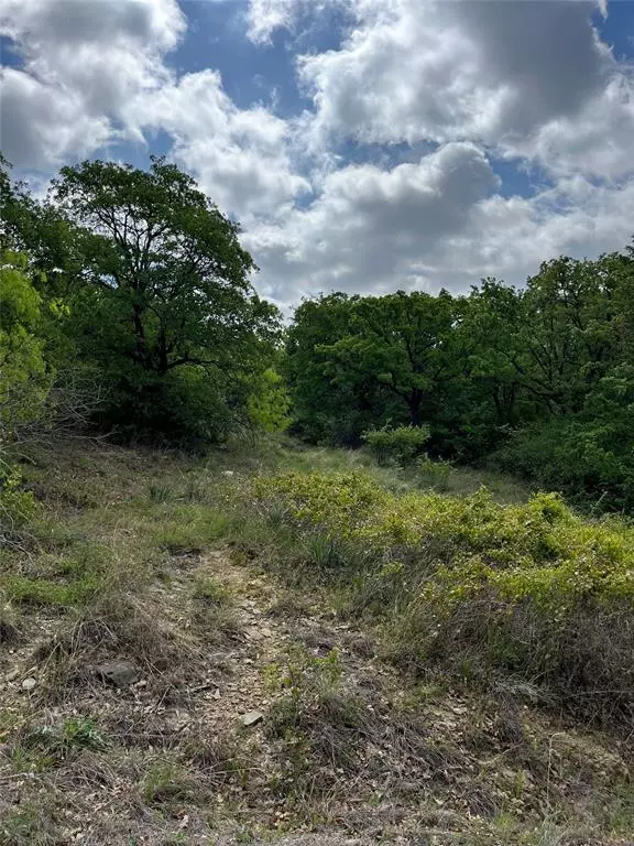 Nocona, TX 76255,347 Pine Road