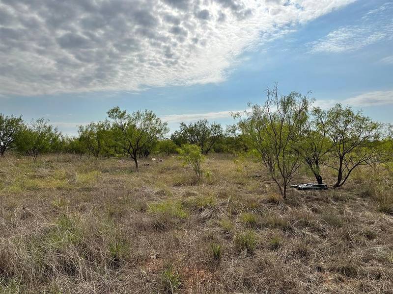 19199 County Road 341, Abilene, TX 79601