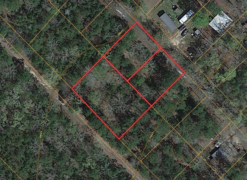 TBD Larry Street, Zavalla, TX 75980