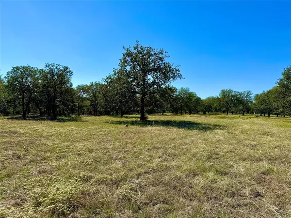 Mineral Wells, TX 76067,Lot 1 N Price Road