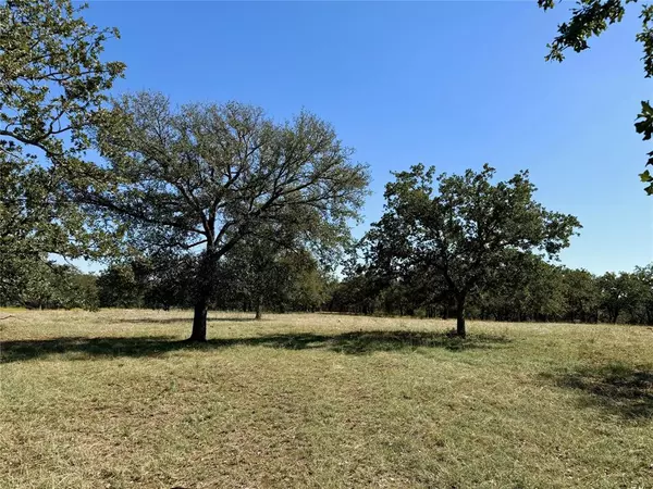 Mineral Wells, TX 76067,Lot 1 N Price Road