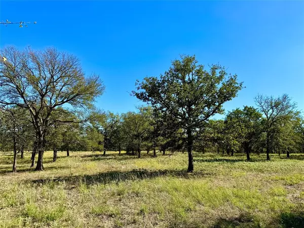 Mineral Wells, TX 76067,Lot 1 N Price Road