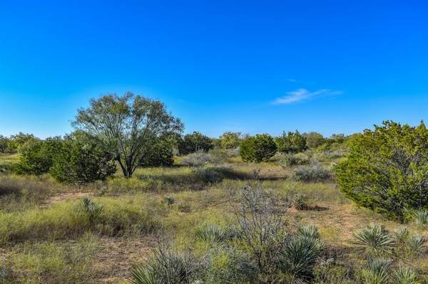 20 Acres FM 765, Lohn, TX 76852