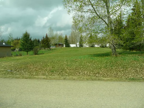 Rural Ponoka County, AB T0C 2J0,42 Ridge DR