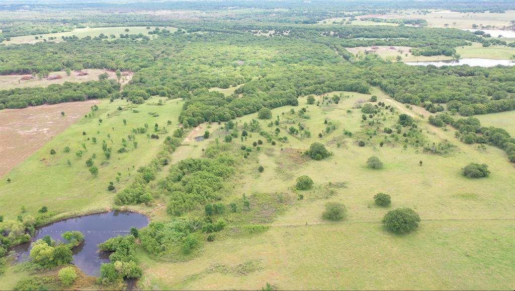 TBD 172 acres FM 455, Montague, TX 76251