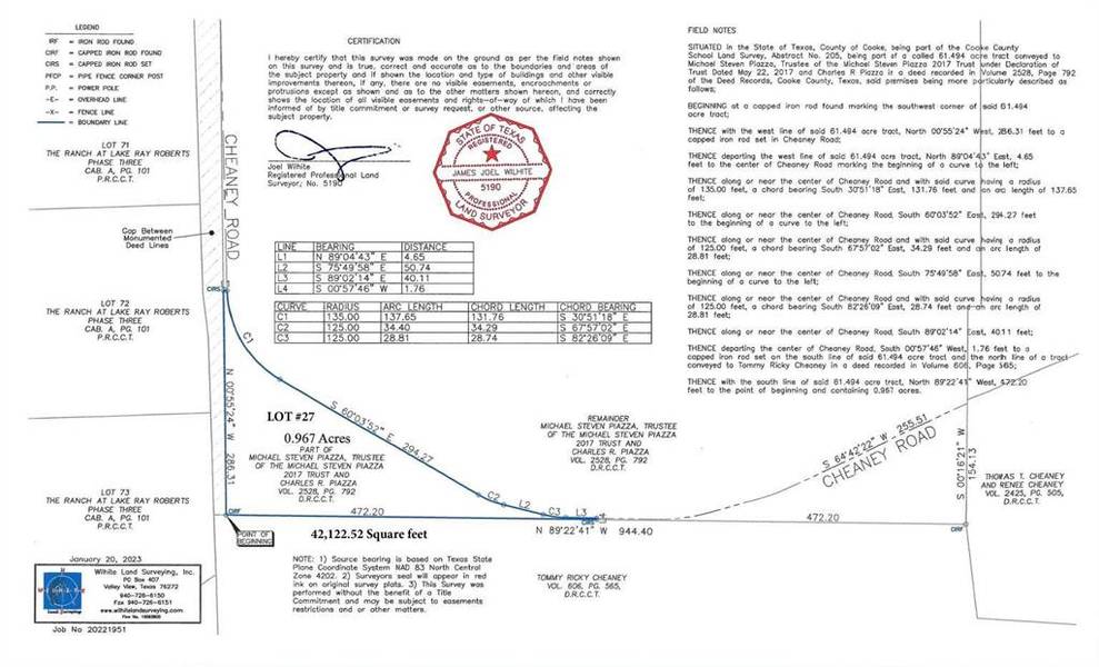 Lot 27 Cheaney Road, Valley View, TX 76272