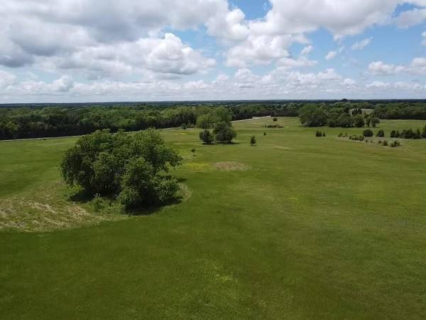 Lot 8 CR 1037, Celeste, TX 75423