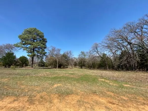 Cross Roads, TX 76227,00 New Hope/Spring Mountain Road