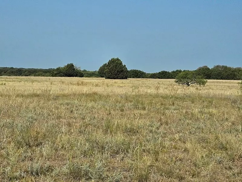 1734 White Bluff Drive, Whitney, TX 76692