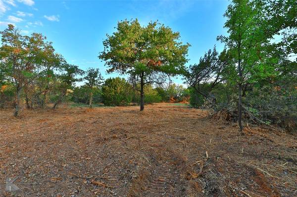 Lot 17 CR 278, Clyde, TX 79510