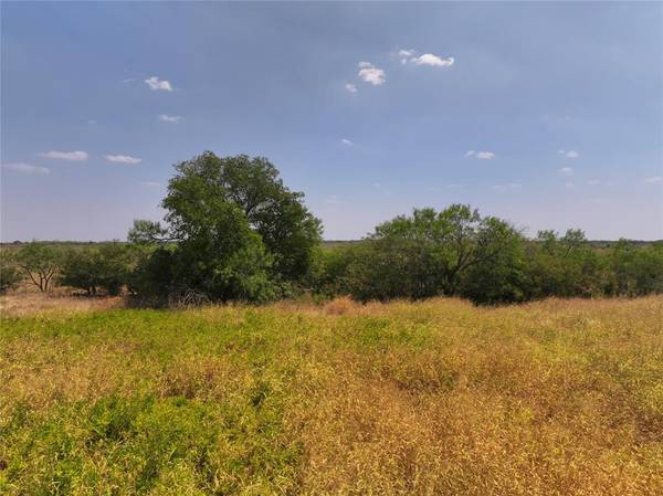 6101 County Road 170, Bangs, TX 76823